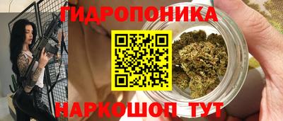 сатива Заводоуковск