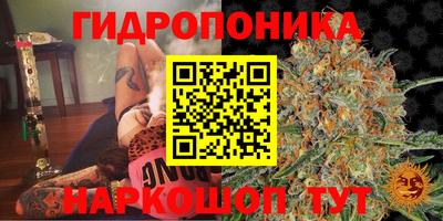 соль курить ск Жуковский